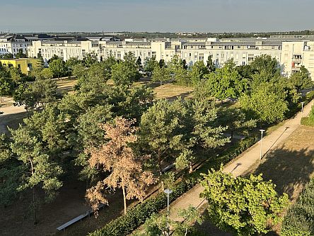Willy-Brandt-Platz in Mainz-Gonsenheim